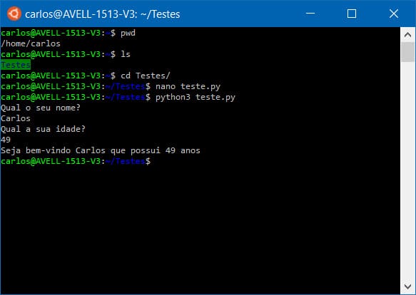 WSL: como executar programas e comandos Linux no Windows?